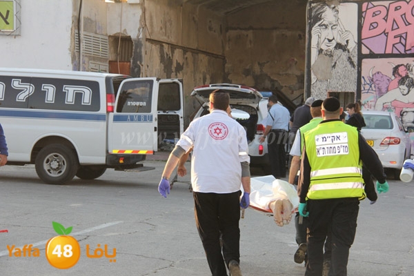 jotha northyaffa dolfan (4).JPG